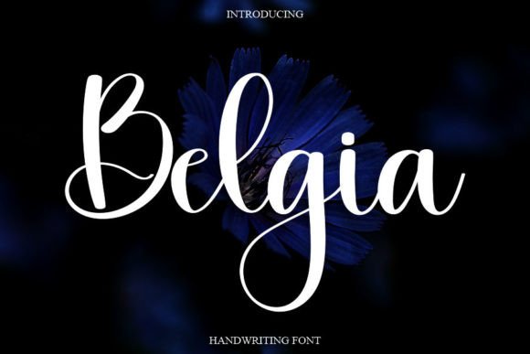 Belgia: A Sweet, Dancing Script for Elegant Branding