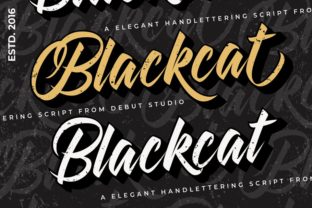Blackcat: A Playfully Nostalgic Font for Modern Design