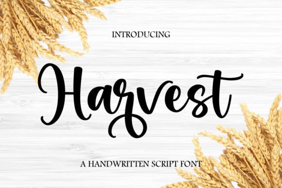 The Grace of Harvest: A Flowing Script for Modern Projects